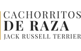 Cachorritos de Raza
