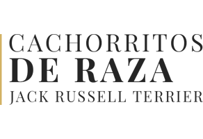 Cachorritos de Raza